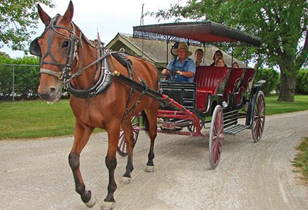 carriage rides